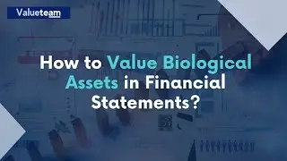 How to Value Biological Assets in Financial Statements?