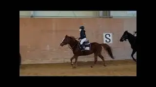 Bella's Horse Riding at Mirinea Horse Club, 2021.