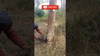 Mastering Efficient Wood Cutting Techniques: The Machinery Skills You Need