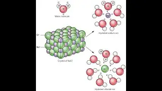 Water and electrolyte metabolism