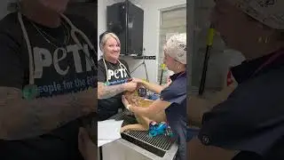 250 животных получили помощь всего за ДВА ДНЯ! 🎉 И совершенно бесплатно!