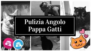 PULIZIA 