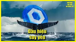Bitcoin biến động sau dữ liệu mới, ETH v&agrave; LINK c&oacute; dấu hiệu suy yếu