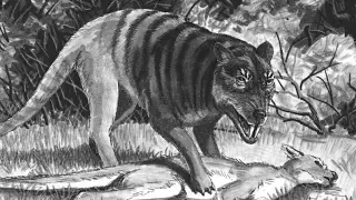 2 аккаунта Cryptid в Пенсильвании