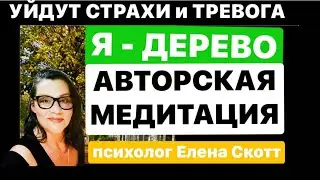 ОТ ТРЕВОГИ и СТРАХОВ.МЕДИТАЦИЯ.психолог Елена Скотт