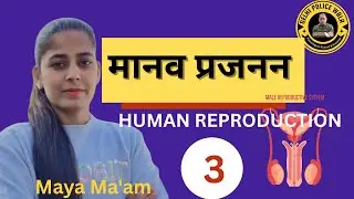 Human Reproduction मानव प्रजनन 🔥 100% Expected | Last 5 Days GS | SSC DP || By Maya Ma'am 