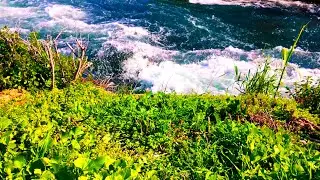 Relaxing Nature Music/Relaxing Music/Beautiful Nature Music/Beautiful Nature/Sleeping Music