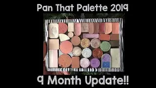Pan That Palette - 9 Month Update!! #panasoldastime