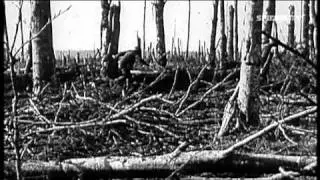 Der Erste Weltkrieg: Kriegsbegeisterung - Realit&auml;t des Krieges - Ern&uuml;chterung