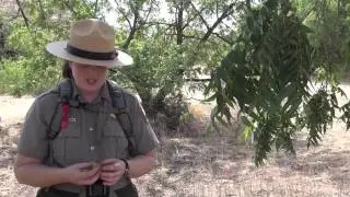 Fort Bowie National Historic Site