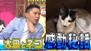 【太田上田＃３８】ネコについて語りました