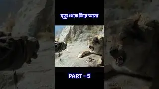 Alpha 2018 Movie Explained | True Survival Journey #movieexplanation #shortsfeed