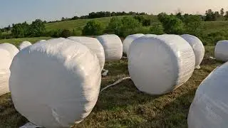 Our First Time Doing Baleage (Hay Silage)