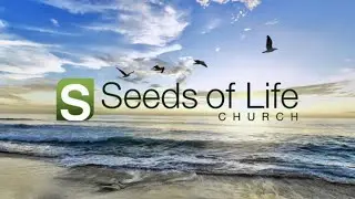 Prince of Peace | Isaiah 9:6; Luke 2:1-14; John 14:25-27 | Pastor Jon
