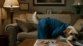 The dog lost its parents and is sad alone(