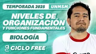 Niveles de organización y funciones fundamentales📚 CICLO FREE✨