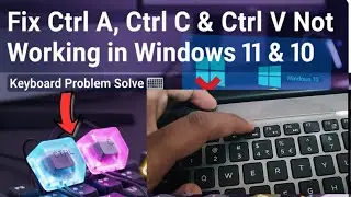 Fix Ctrl A, Ctrl C & Ctrl V Not Working in Windows 11 & 10 | Keyboard Shortcut Issue 🔥