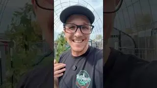 Мы построили &laquo;семейное поместье&raquo;&hellip; Что-то вроде того&hellip;