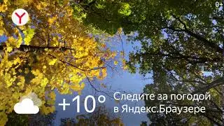 1920x1080 Bro leaf fall cloudy +10 31