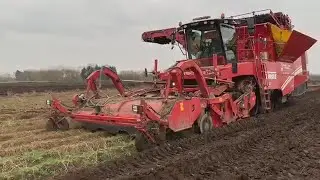big grimme potato harvester in wet land