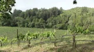 History of Hendry Ranch Winery