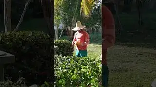 Отель Playa Paraiso 4*