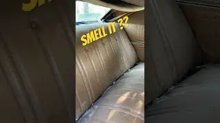 Caught on fire.!! Vintage cars, barn finds, abandoned cars, rat rods, antique cars, Will it run.??
