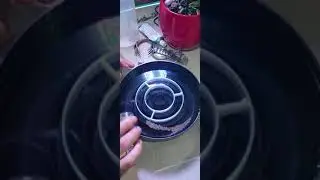 schiuditoio cisti di artemia hobby, consiglio di utilizzare solo acqua in bottiglia