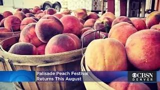 Colorado's Comeback: Palisade Peach Festival Returns This August