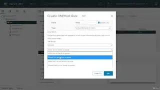 vSphere 7 Foundations 4.10 - vSphere Cluster Features - Control VM Placement using Rules for DRS