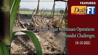 Pelwatte Sugar Continues Operations amidst Challenges