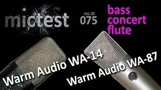 Warm Audio WA-14 vs Warm Audio WA-87 // Bass concert flute (Till) // rec.ID 075