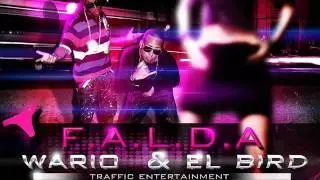 [SALUDO SUBA]Wario & El BIRD - Falda