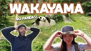 I Didn&rsquo;t Expect This in Wakayama, Japan | Adventure World, Caves & Ramen