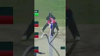 PCB Archive - England's All Fall of Wickets | PAK vs ENG 5th T20I, 2022 #Shorts MU2A