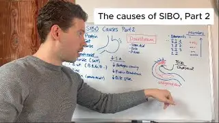 The REAL cause of SIBO (part 2)