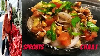 Sprouts Chaat Recipe | प्रोटीन सलाद | Protein Salad | Weight Loss Recipe | Fight Anemia