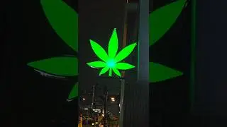 🌿 Cannabis in Bangkok 🇹🇭 | Yes, It&rsquo;s Legal Here | Travel Facts