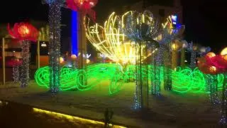 Metro city glow park biggest park of kharian