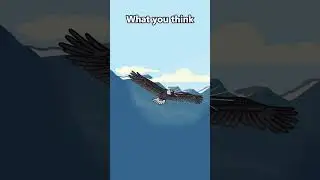 Movie eagle sound vs reality  #shorts #birdwatching #birds #eagles