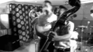 The Houndogs Official Promotional Video