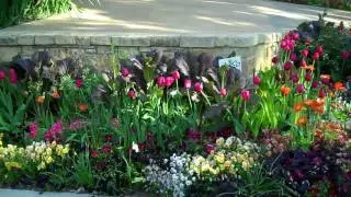 A Little English Garden History with Andrea Rucker