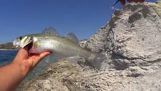 Fo&ccedil;a Lrf Micro Jiglerle Levrek Avı Ultra Light Shore Jigging for SeaBass