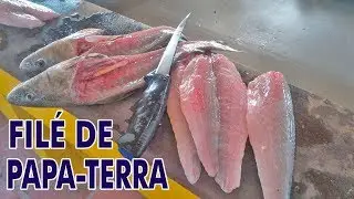 FILÉ DE PAPA TERRA (BETARA)! Como fazer.