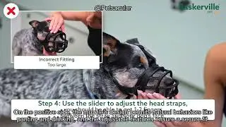 Baskerville Ultra Muzzle Review: Is It the Best Solution for Dog Training & Safety?
