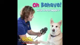 PetLifeRadio.com - Oh Behave - Episode 159 Meet Petz Rock Host Kristen Powers -- A Teen on a Miss...