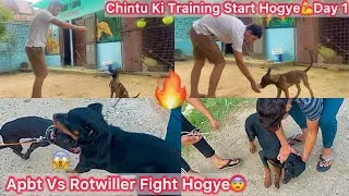 Finally Chintu Ki Traning Start Hogye🔥Day 1💪|| Blackking Ka Firse Panga Hogya😨Use Rotwiller Se😡