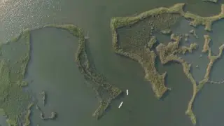 Stand Up Paddling Bogue Sound in the Crystal Coast