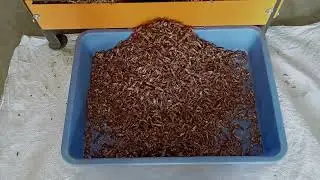 nobel sali supari cutting machine,
