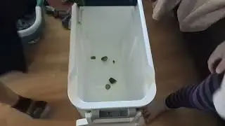 Igloo 38L MaxCold cooler & veggie chopper (that should be recalled for finger chopping capability)